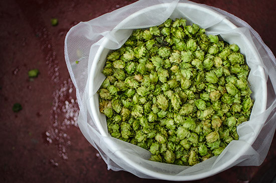 Ready-for-Wet-Hopping---Social-Kitchen